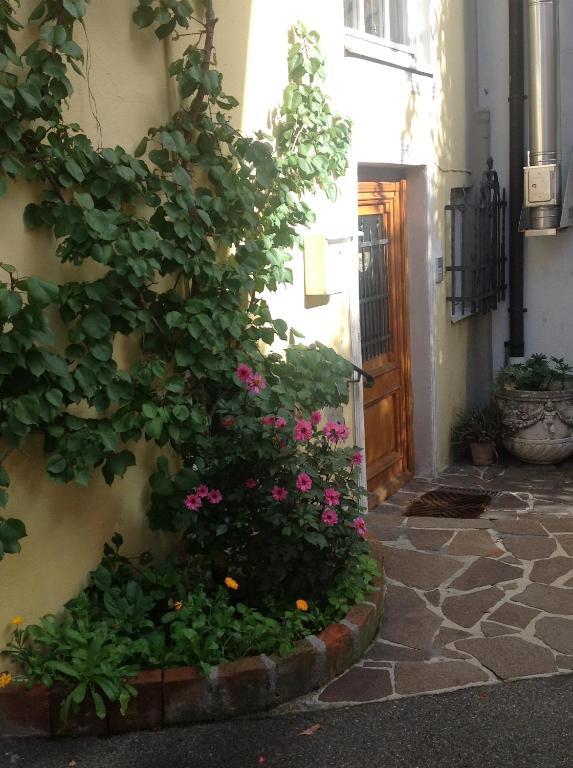Apartament Bed & Kitchen Burgau Zewnętrze zdjęcie